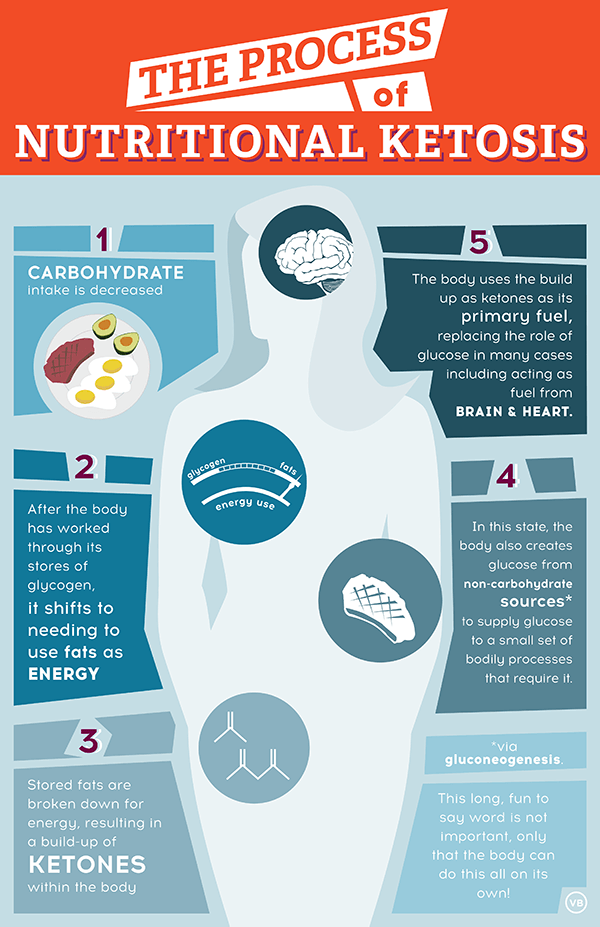 Keto Infographic